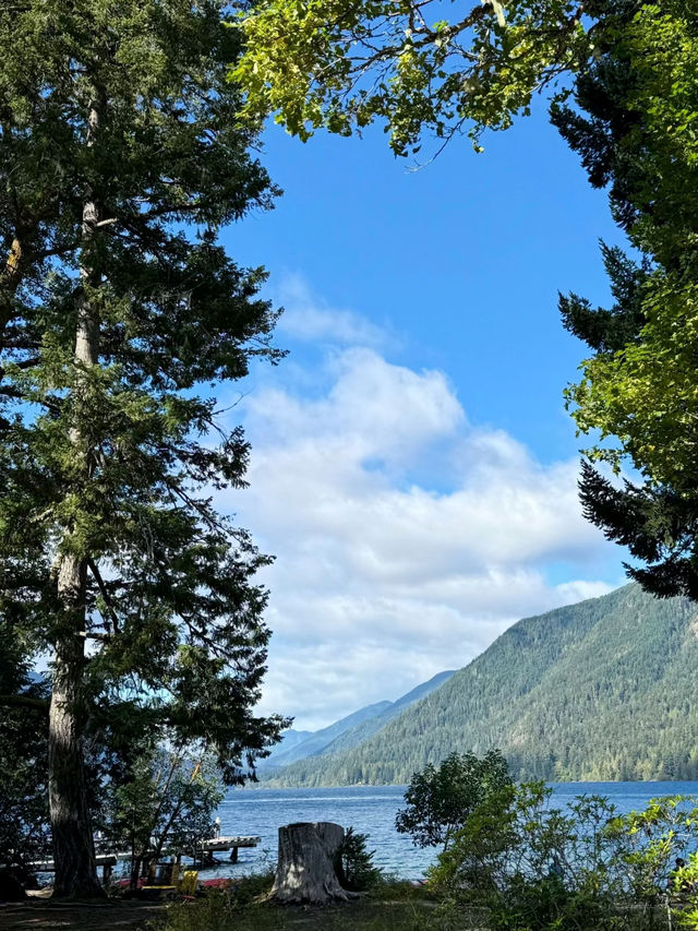 Untamed Wilderness – My Solo Journey Through Olympic National Park