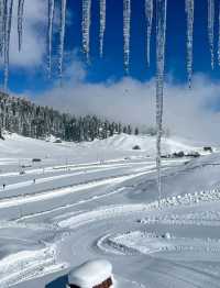 ❄️ Skiing Paradise in Gulmarg – A Winter Wonderland! ⛷️🏔️