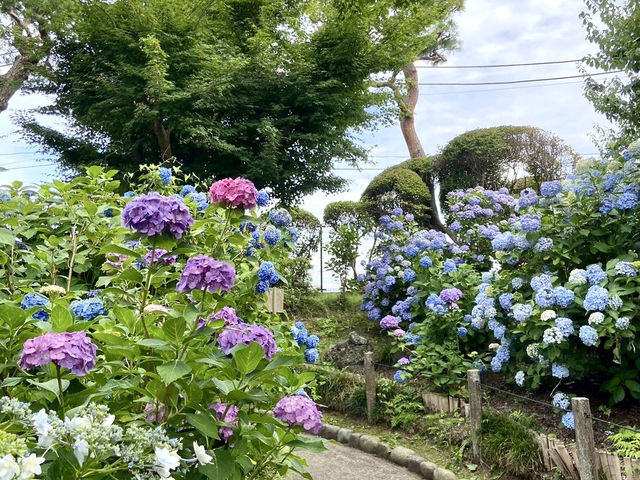 【茨城県】梅雨の時期に巡る水戸旅