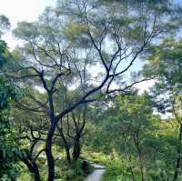 筆架山公園：綠野詩意天堂🌿✍️