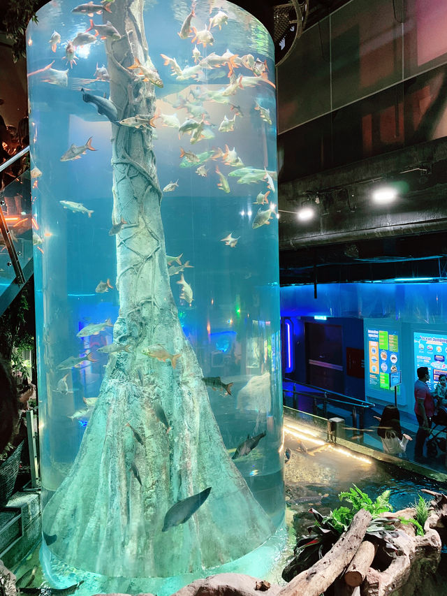 An Underwater Wonderland at Aquaria KLCC