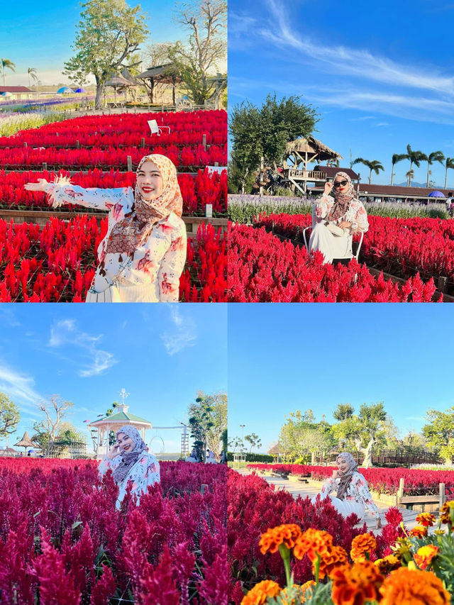 สวนลุงเวศน์ - จังหวัดตรัง 🪴✨