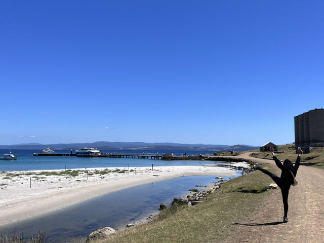 塔斯馬尼亞  瑪麗亞島旅遊全攻略：野生動物天堂與世界遺產秘境
