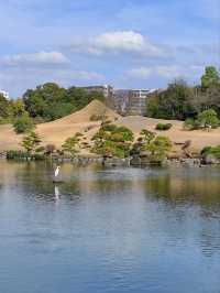 精緻巧妙造景的水前寺成趣園