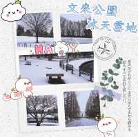 文來公園：冰雪童話世界 ❄️🏞️