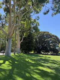 Kings Park Adventure: Nature, Views & Culture