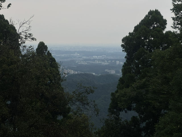 Escape to Nature: Hiking to the Summit of Mount Takao