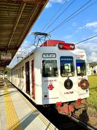 【和歌山県】駅長「よんたま」が勤務＆電車も注目！