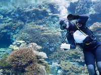 水中生物的邂逅～美麗海水族館