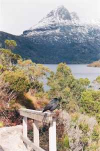 The Twelve Palawa Seasons at the Dove Lake Circuit Walk