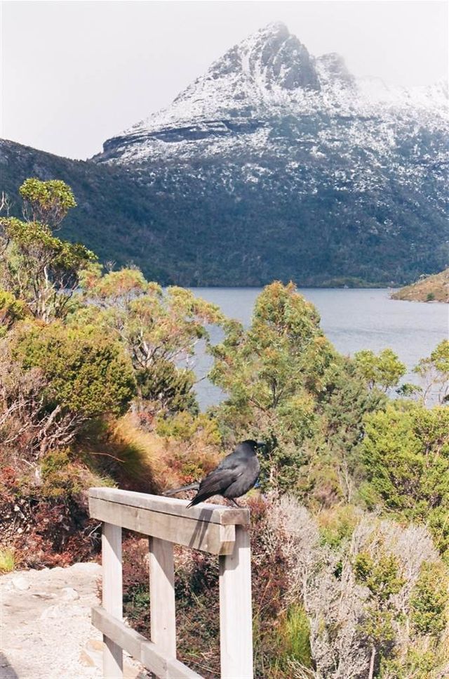 The Twelve Palawa Seasons at the Dove Lake Circuit Walk