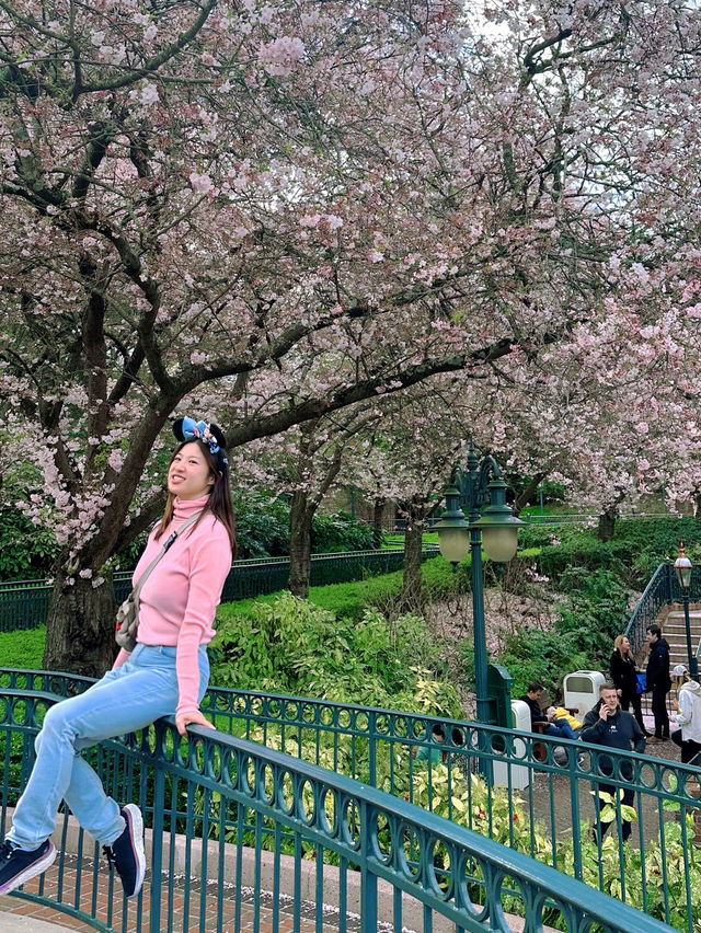 Genuine review Disneyland Paris
