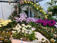 台南後壁-亞太蘭花會議暨台灣國際蘭展 Orchid Show 