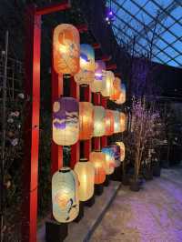 Floral Paradise - Flower Dome Singapore