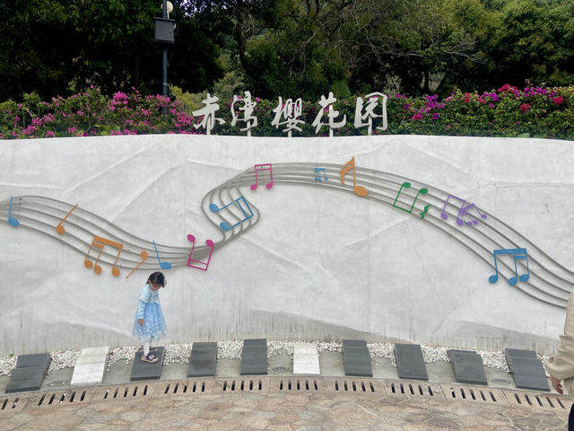 ✨深圳華英路景觀公園🌸赤灣櫻花園