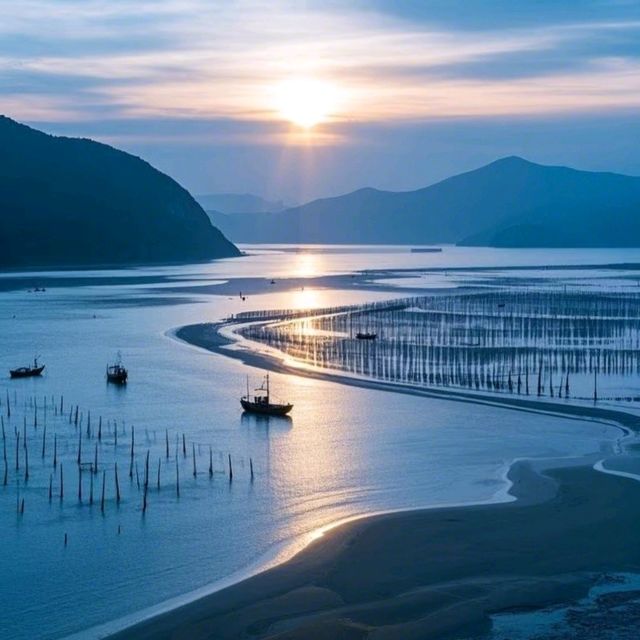 三都澳釣魷魚：海上霓虹派對