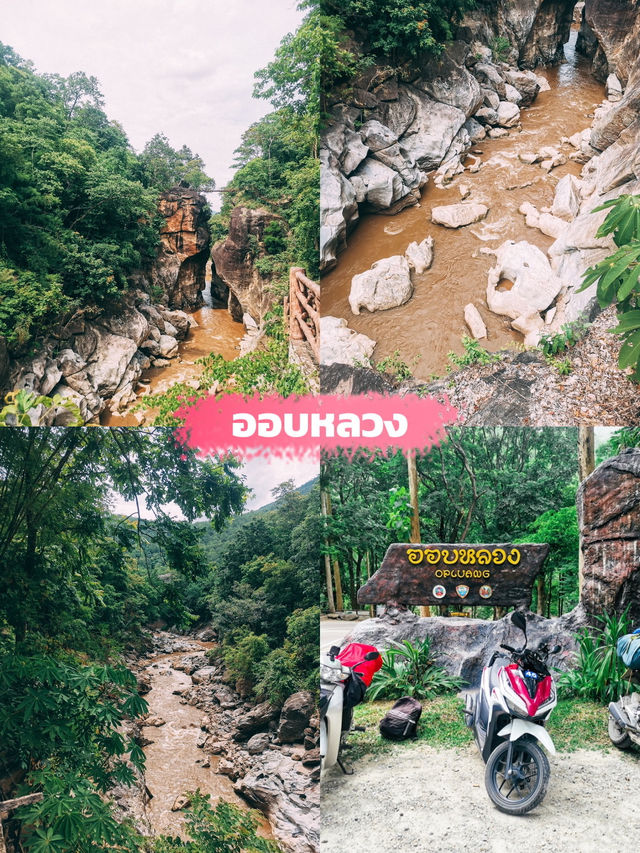 ✨ห้ามพลาด ที่เที่ยวธรรมชาติเชียงใหม่✅