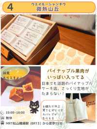 【台湾定番のお土産】オススメのパイナップルケーキ5選を紹介！