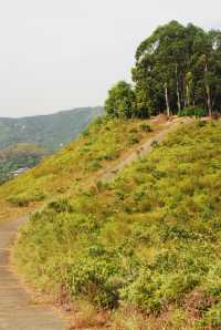 From Sheung Shui to Fanling — Wah Shan Military Path Hike