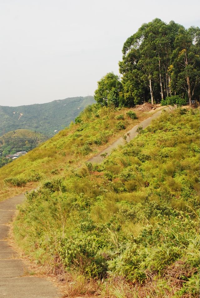 From Sheung Shui to Fanling — Wah Shan Military Path Hike