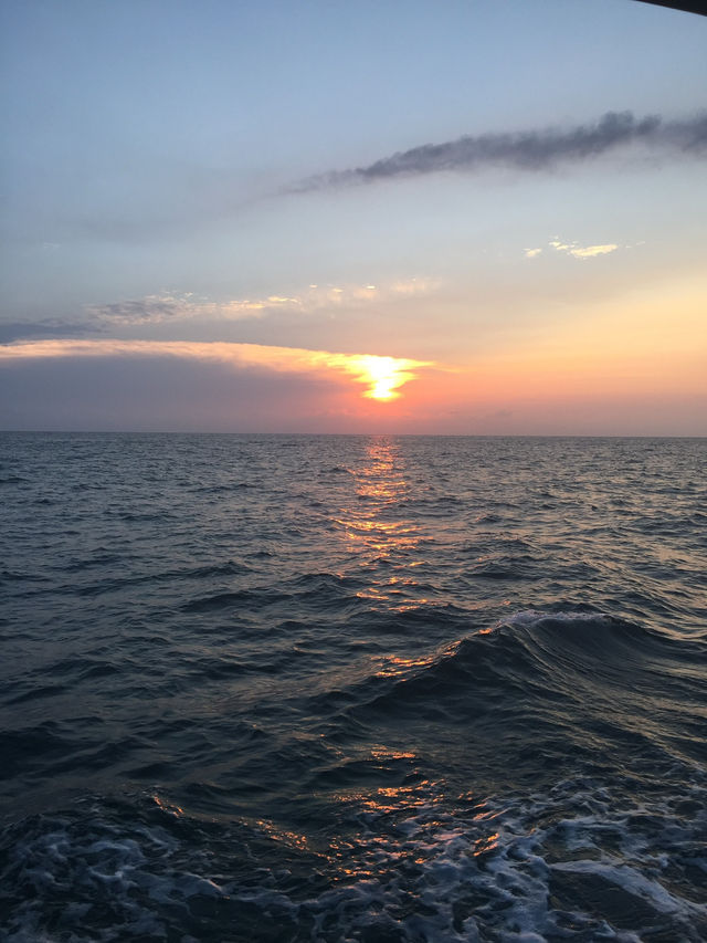 淡水一日遊：櫻花與古鎮的浪漫巡禮🌸✨