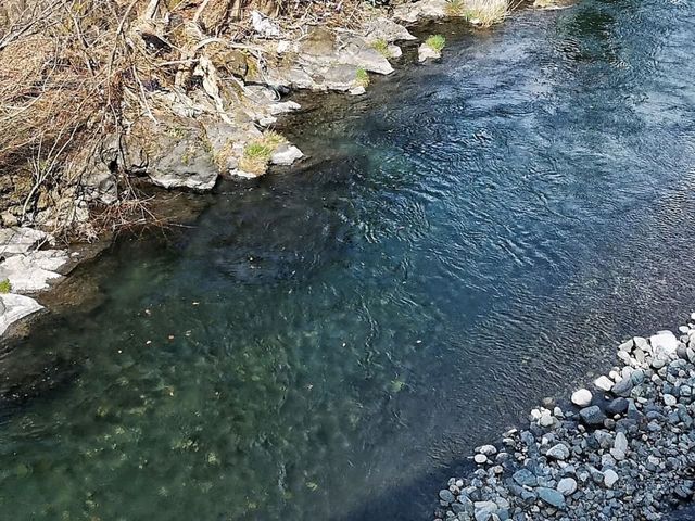 GALA Yuzawa เล่นหิมะใกล้โตเกียว 