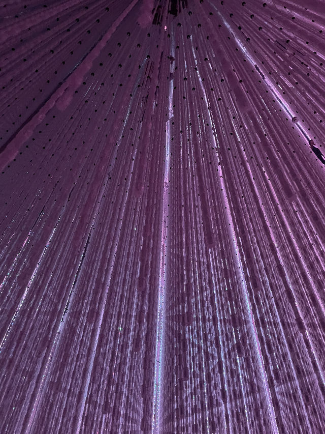 teamLab Borderless – Digital Wonderland