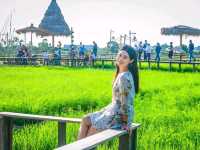 🏡 รักษ์นา คาเฟ่ อยุธยา ☕🍵