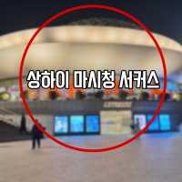 시간을 초월한 스릴과 예술의 향연! - 상하이 마시청 서커스 