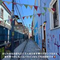 【チリ】バルパライソ半日散歩