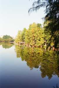 Easy Stroll at the Dafushan Forest Park of Panyu