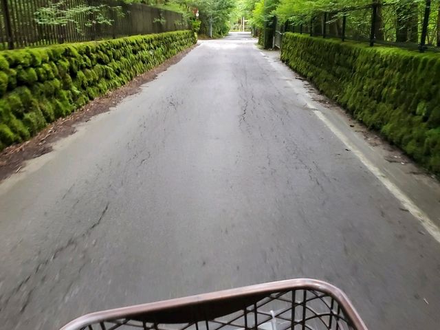 [🇯🇵軽井沢] 自転車で走る軽井沢 — 自然と爽快な風を感じる魅力的なサイクリング