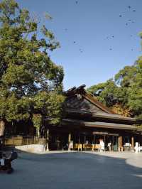 Meiji Shrine ศาลเจ้าแห่งความสงบใจกลางโตเกียว
