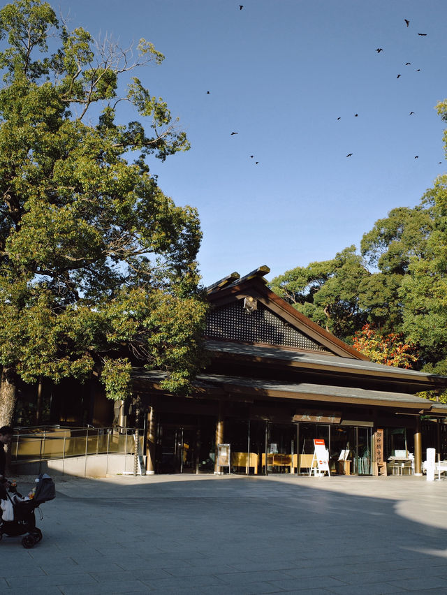 Meiji Shrine ศาลเจ้าแห่งความสงบใจกลางโตเกียว