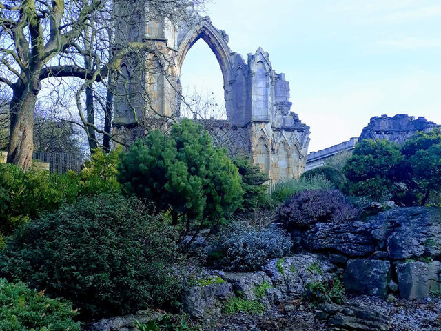 Museum Gardens & St. Mary’s Abbey