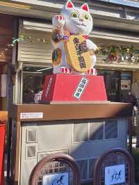 介紹日本岐阜縣飛驒高山