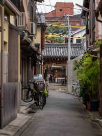 朝一の先斗町スナップ 🌅🏮 静寂の中に漂う京都の風情