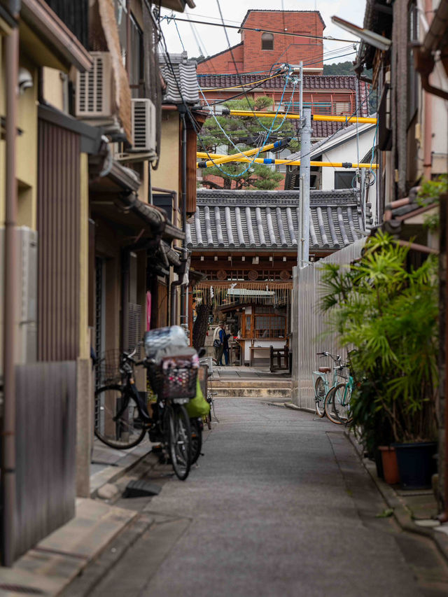 朝一の先斗町スナップ 🌅🏮 静寂の中に漂う京都の風情