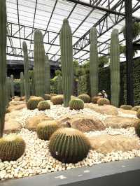 สวนนงนุช ที่เที่ยวพัทยาน่าไป