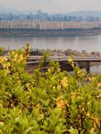 Dalmaji Park's Spring Vista: Panoramic Views and Budding Beauty