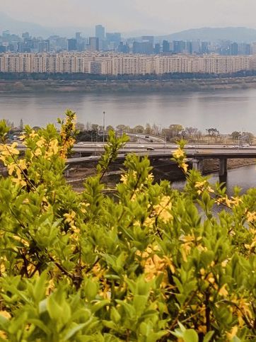 Dalmaji Park's Spring Vista: Panoramic Views and Budding Beauty