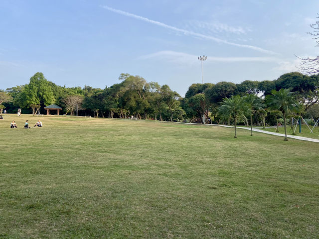 ✨探索城市中的美麗繽紛世界✨中山公園 