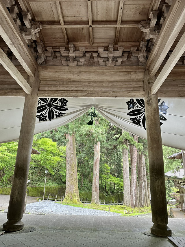 【福井×永平寺】説法が行われる法堂 国の重要文化財
