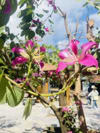 วัดชื่อดังประจำเมืองดานัง เวียดนาม