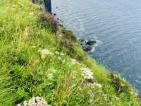 Spring Drama at Kilt Rock, Isle of Skye