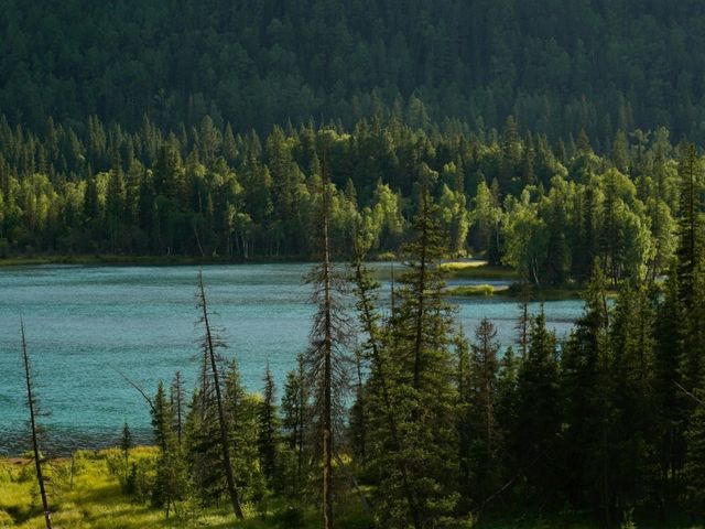 [🇨🇳新疆] 絶景を求めて旅するなら喀纳斯湖へ