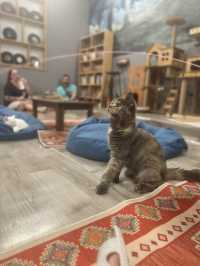 Hustle to Harmony: A Whirlwind Escape to Hanoi