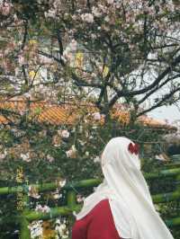 Moments That Glowed: My Taiwan Tale 