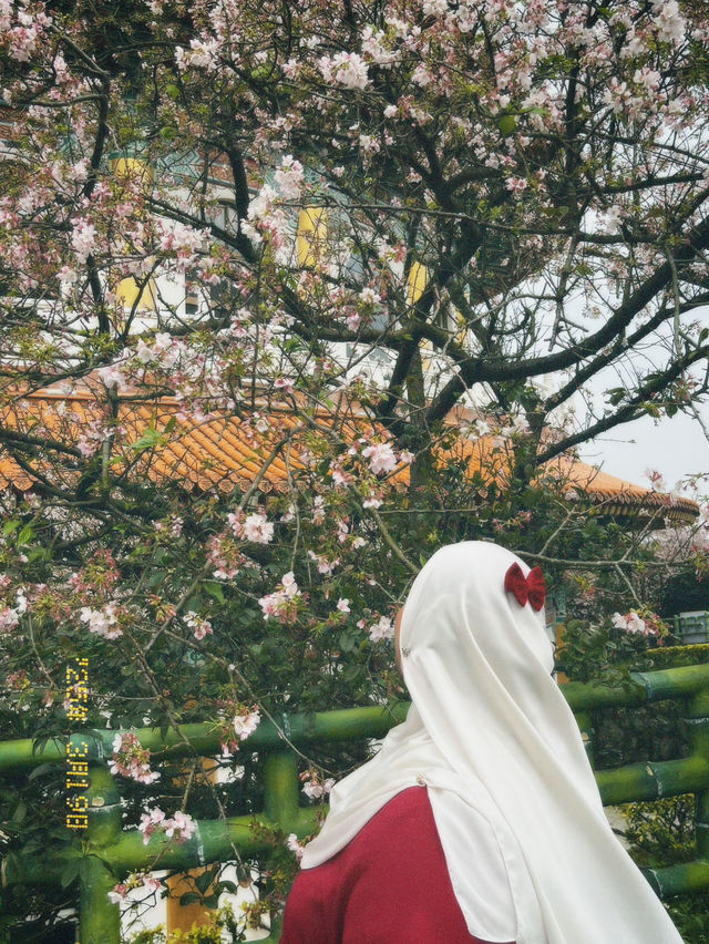 Moments That Glowed: My Taiwan Tale 
