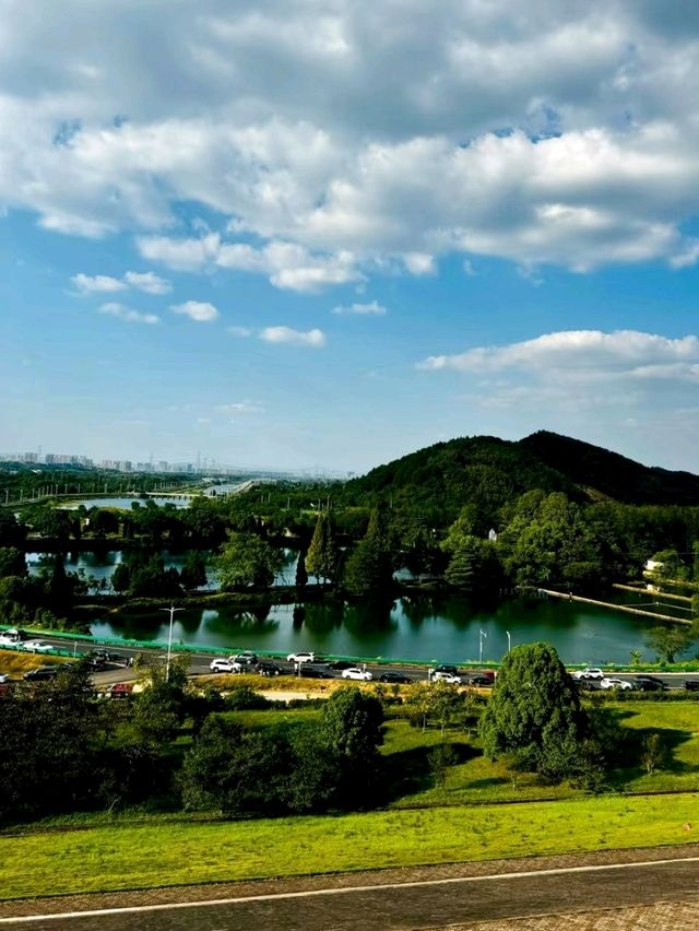 Lu Lake Bamboo Sea: A Hidden Retreat in Nature’s Embrace
